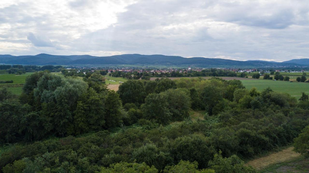 Ferienhaus Lenchen Niederkirchen bei Deidesheim 외부 사진